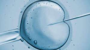 试管婴儿移植胚胎如何选择好？
