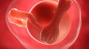 输卵管堵塞可以做三代试管婴儿吗