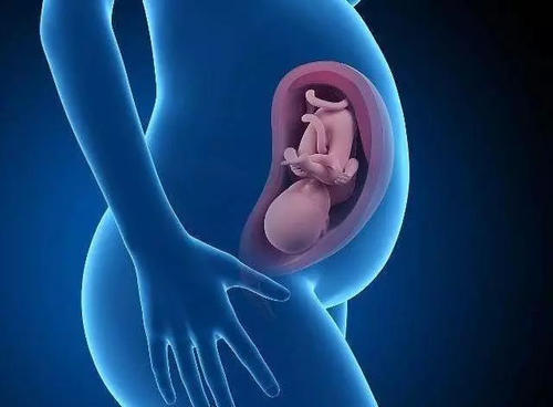输卵管积水患者能做试管婴儿吗？